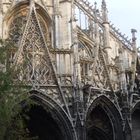 Flamboyant in Rouen im September 2008