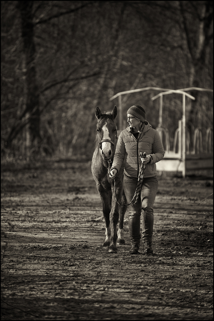 Flame & Vio - im Gleichschritt ;-)