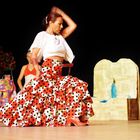 Flamenco 1