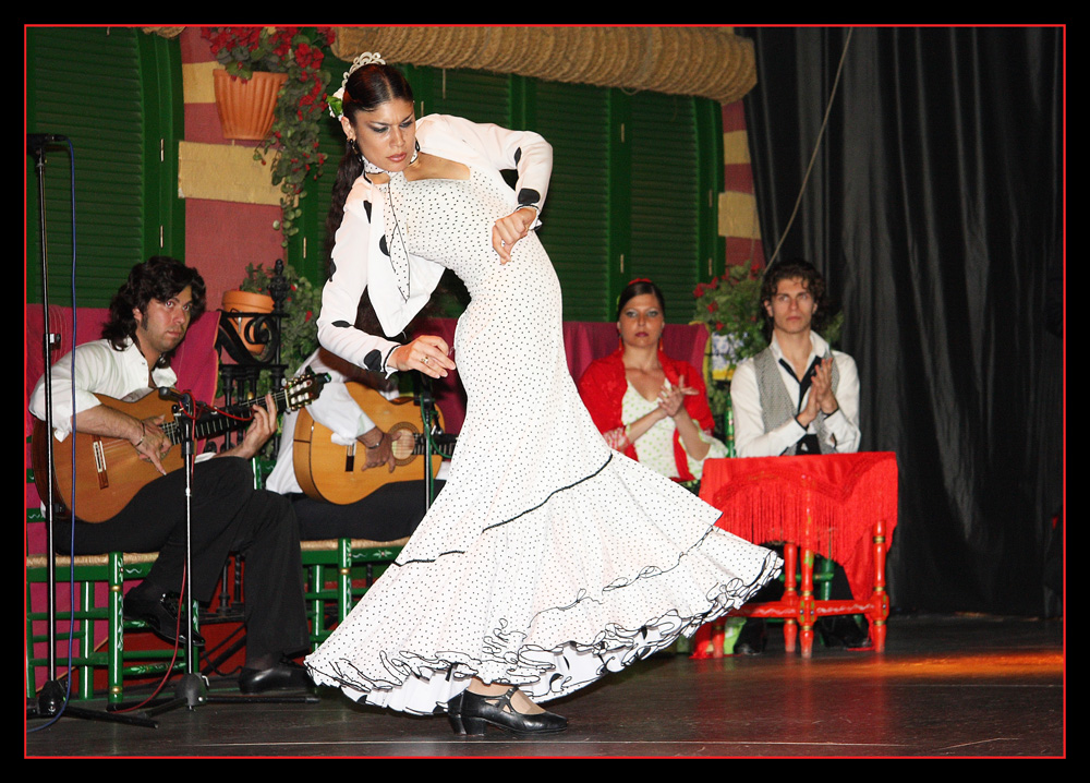 Flamenco 1