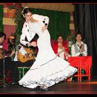 Flamenco 1