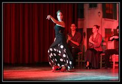 Flamenco #1
