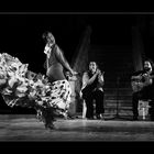 Flamenco!