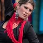 Flamenco