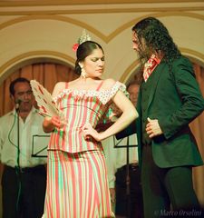 Flamenco 2  ( Siviglia )