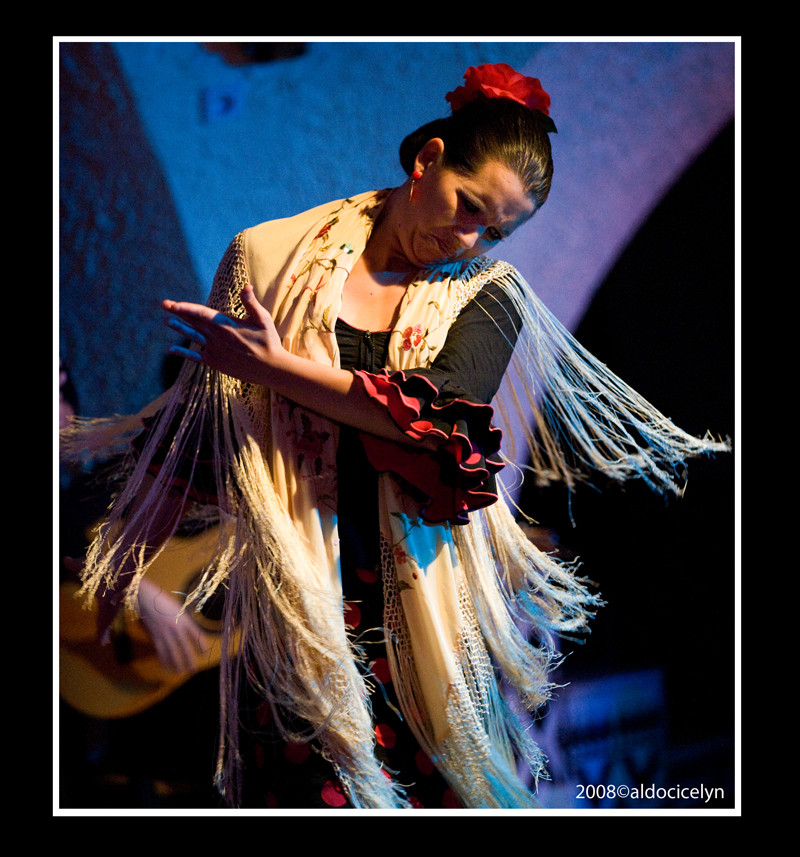 Flamenco 3