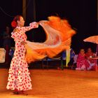 Flamenco.
