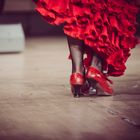 Flamenco #4
