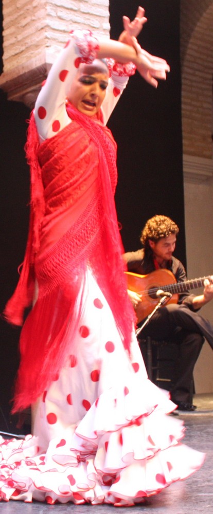 Flamenco 4