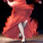 flamenco