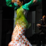 Flamenco