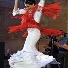 Flamenco