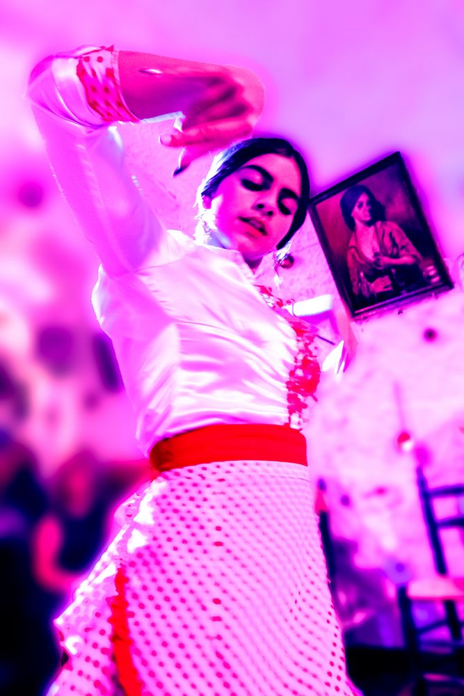 flamenco