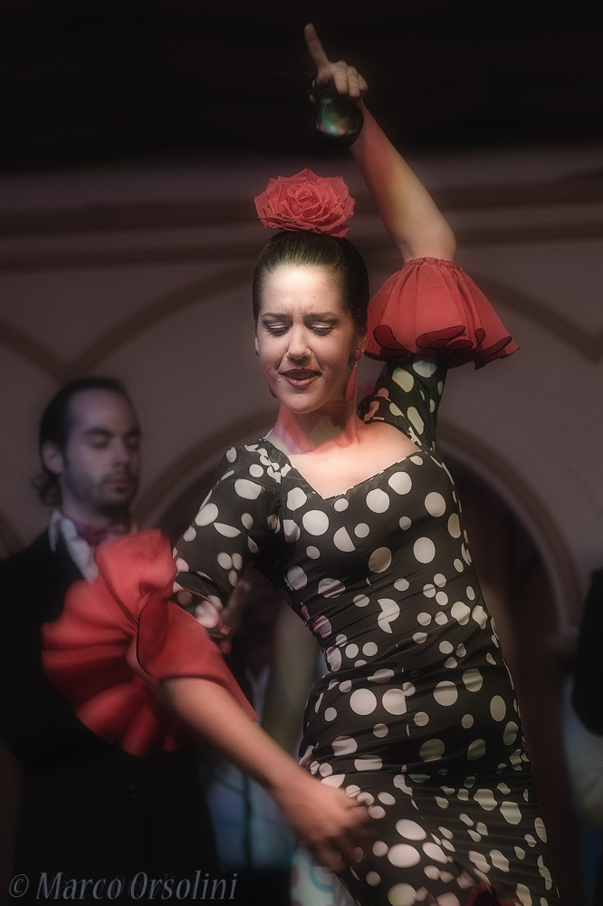 Flamenco 6 ( Siviglia )