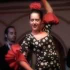 Flamenco 6 ( Siviglia )