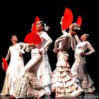 Flamenco