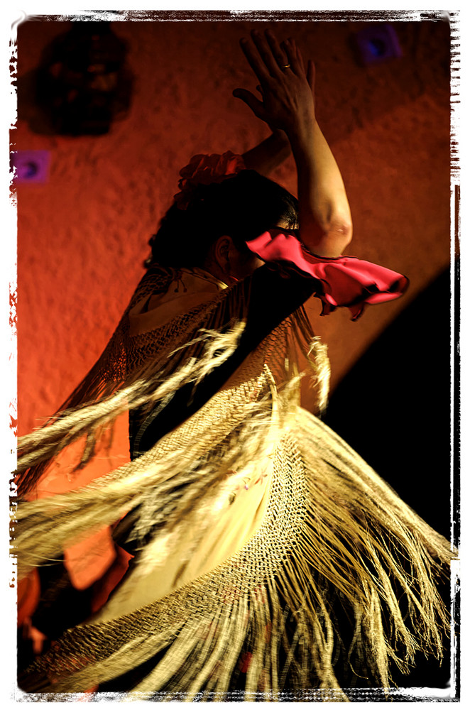 Flamenco