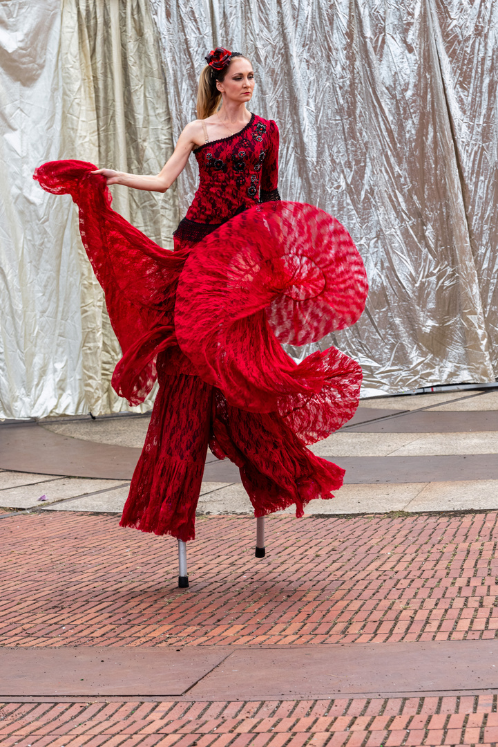 Flamenco