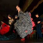 Flamenco