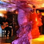 Flamenco