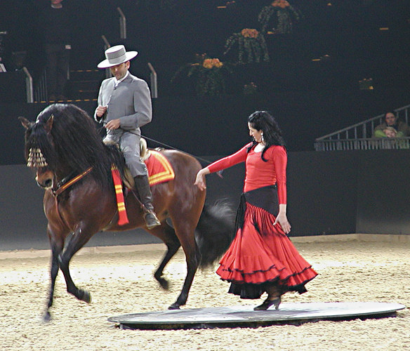 Flamenco.........