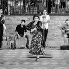 Flamenco am Sonntag IV