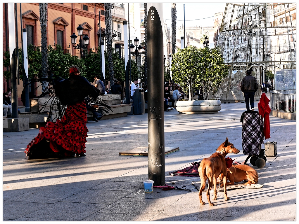 Flamenco avec du chien