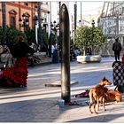 Flamenco avec du chien