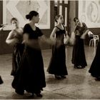 flamenco