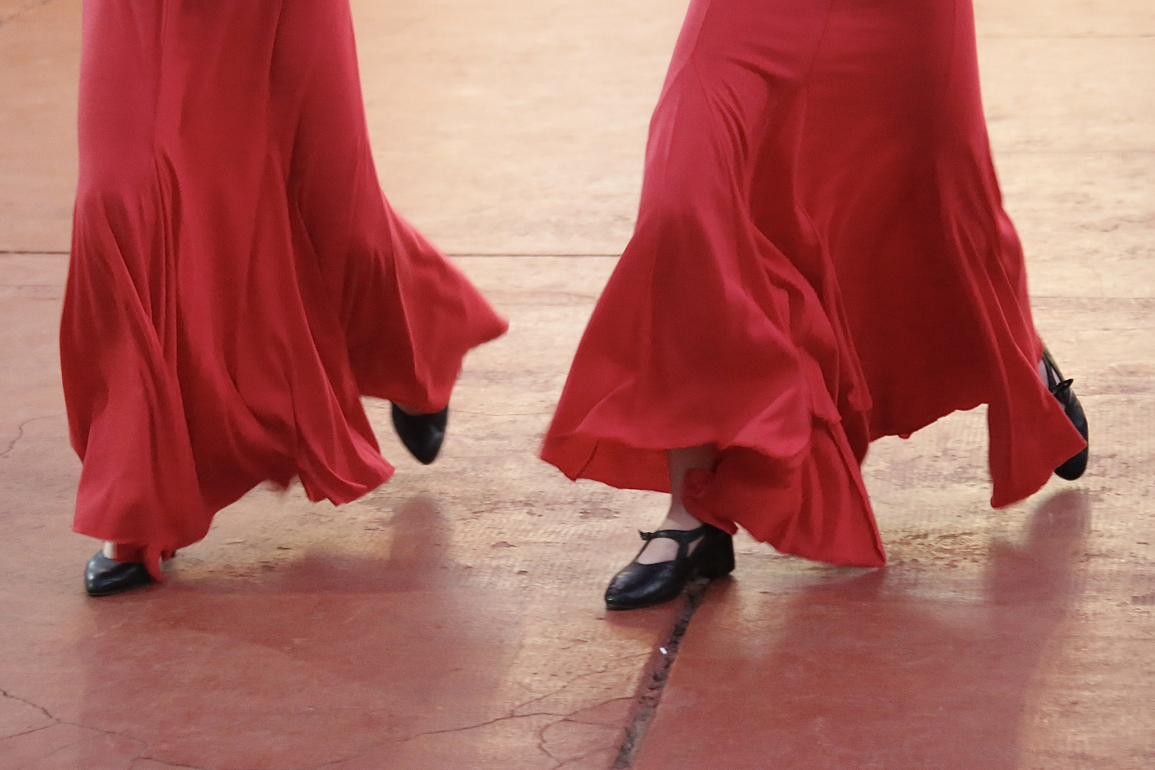 Flamenco-Beine (I)