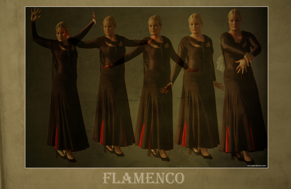 Flamenco Collage