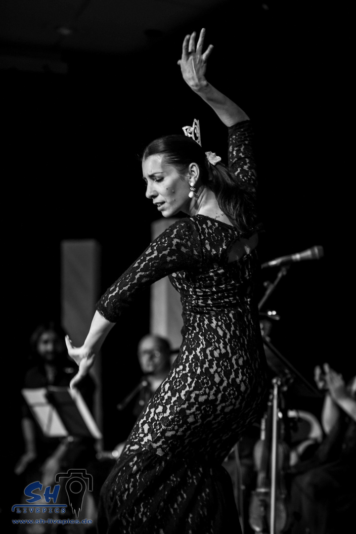 Flamenco ....