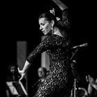 Flamenco ....