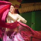 Flamenco dancer - The motion