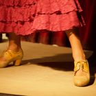 Flamenco: das linke Bein