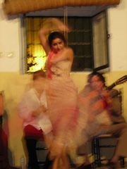 Flamenco die 2.