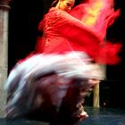 Flamenco Dynamik