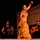 Flamenco