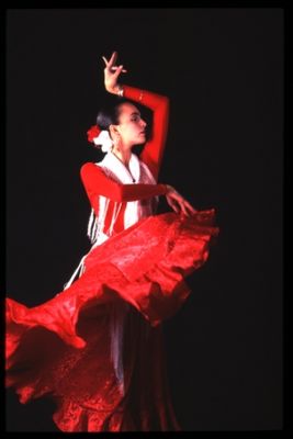 Flamenco