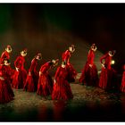 Flamenco en rojo