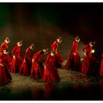 Flamenco en rojo