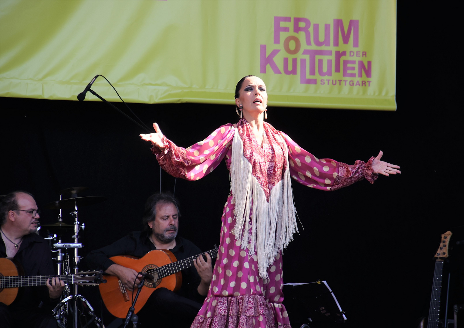 Flamenco Festival FdK Stgt cr6-A5362-col +7Fotos