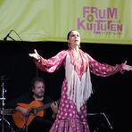 Flamenco Festival FdK Stgt cr6-A5362-col +7Fotos