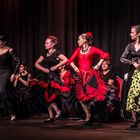 Flamenco Fiesta