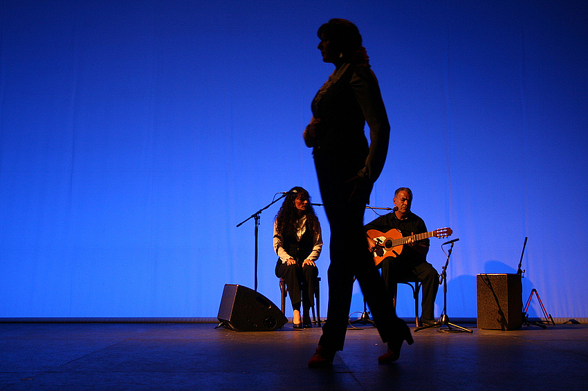 Flamenco - für Fritz'l in Wien