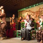 Flamenco Gitano 1 ( Cordoba )