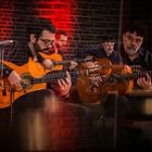 Flamenco Guitaristas
