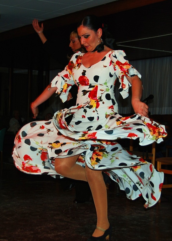 Flamenco II