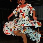 Flamenco II