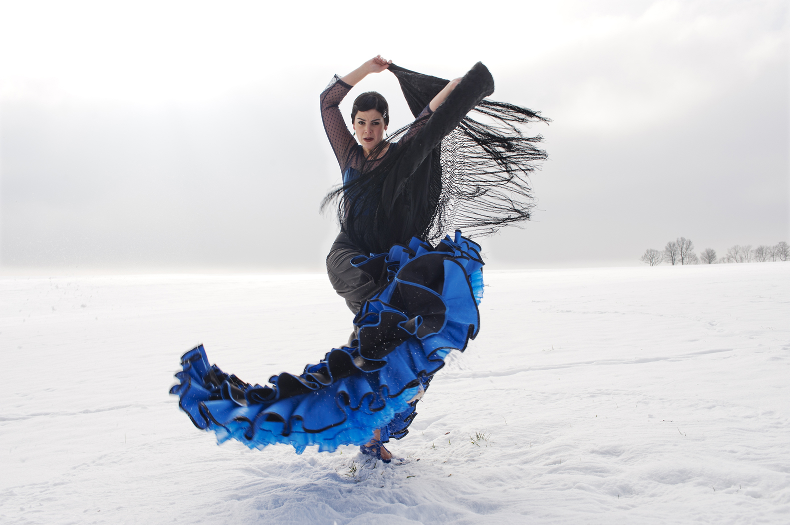 Flamenco im Winter